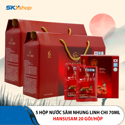 5 Hộp nước chiết hồng sâm nhung hươu linh chi 365 Hansusam - Hộp 20 Gói 70ml