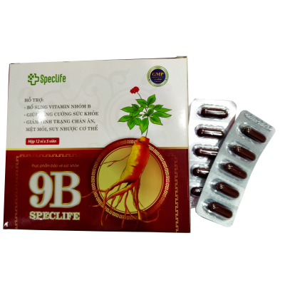 4 Hộp Hoạt Huyết Minh Não Khang Extra Dân Khang (2 vỉ x 10 viên x 1 hộp) - Tặng 1 hộp Vitamin 9B Speclife (12 vỉ x 5 viên) + 1 hũ viên tăng lực đông trùng nhân sâm Speclife 30 viên