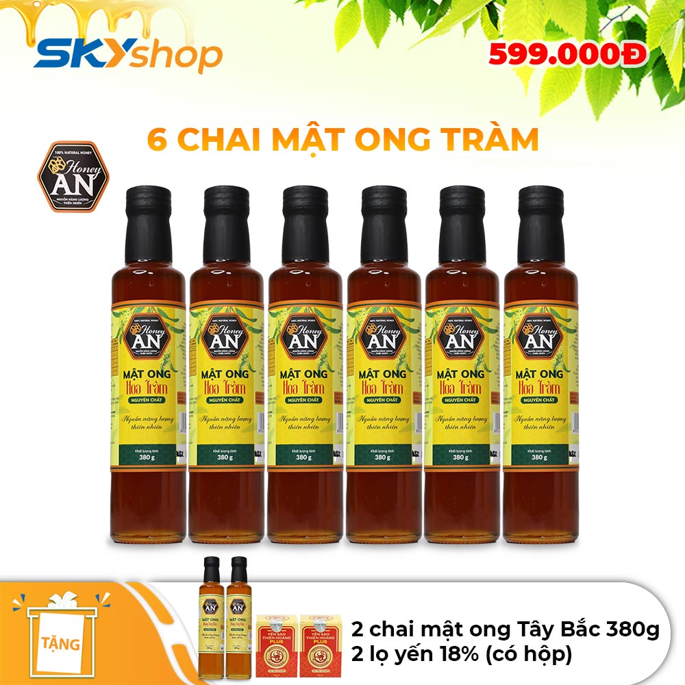 6 Chai mật ong Hoa Tràm Honey An 380gr - Tặng 2 chai mật ong Tây Bắc Honey An 380gr + 2 lọ yến Thiên Hoàng 18%