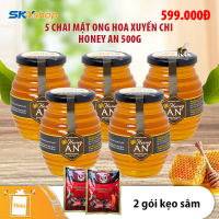 5 Hũ Mật Ong Hoa Xuyến Chi Honey An 500g /Hũ - Tặng 2 gói kẹo sâm