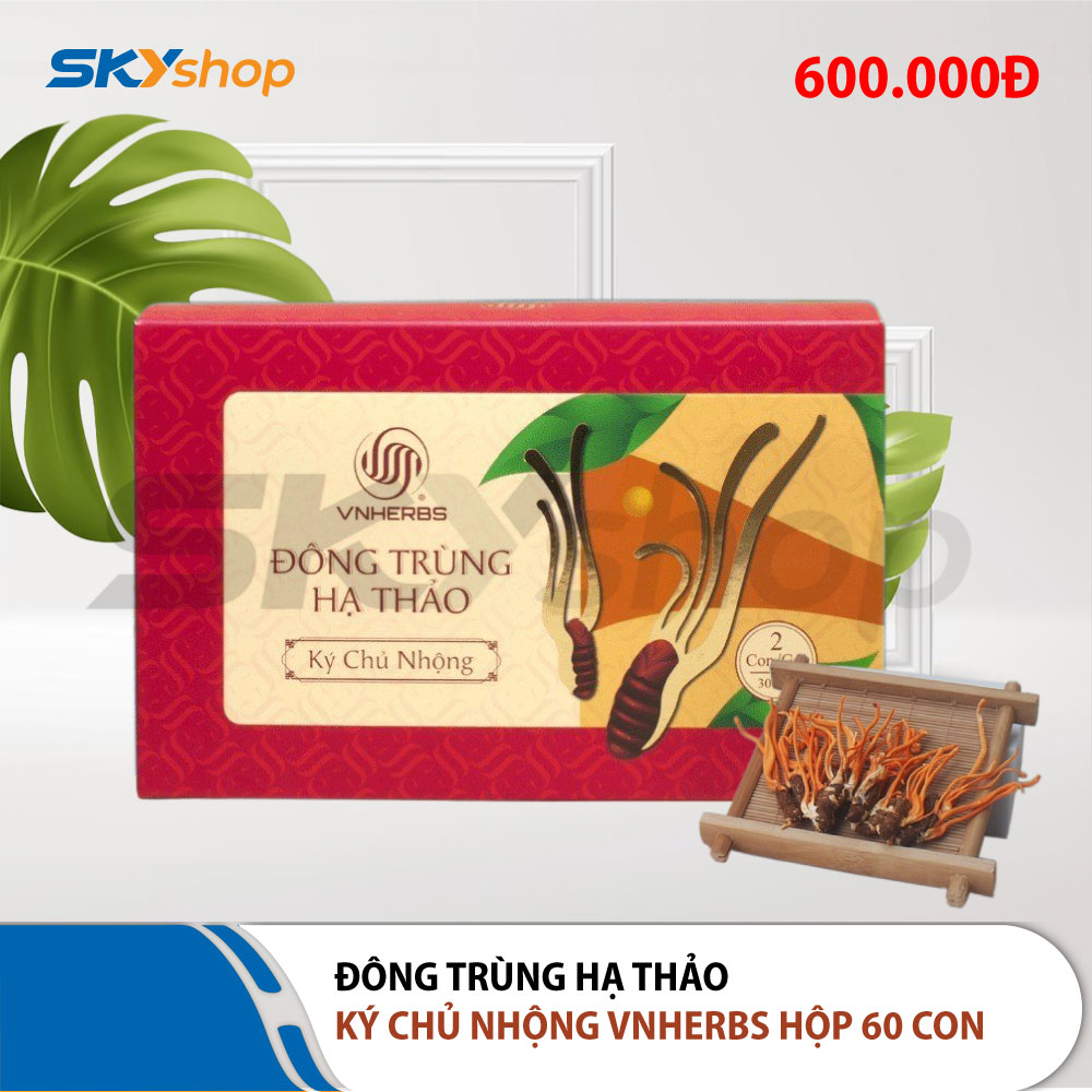 Đông Trùng Hạ Thảo ký chủ nhộng hộp giấy 60 con VNHERBS