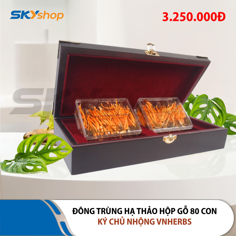 Đông Trùng Hạ Thảo ký chủ nhộng hộp gỗ 80 con VNHERBS