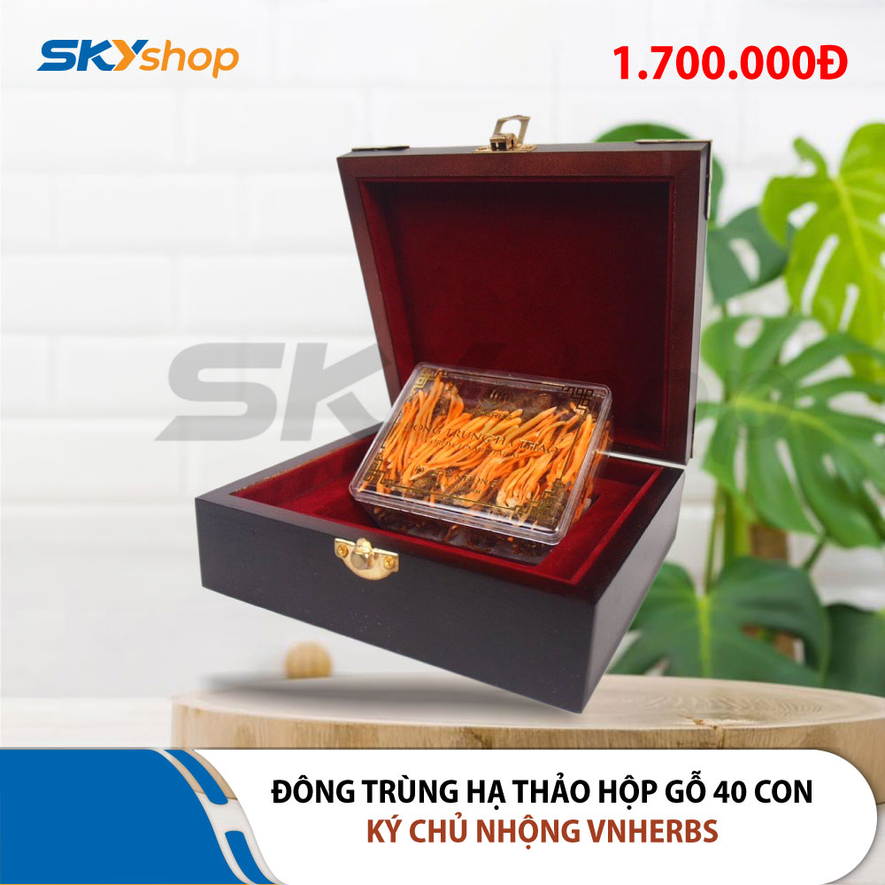 Đông Trùng Hạ Thảo ký chủ nhộng hộp gỗ 40 con VNHERBS