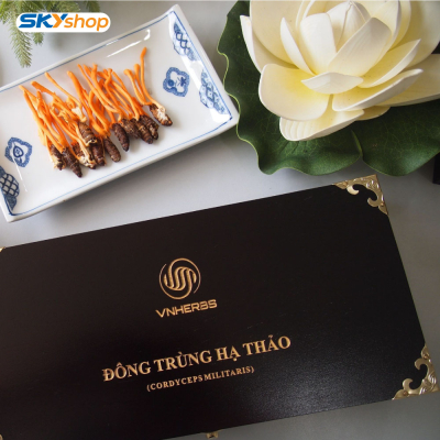 Đông Trùng Hạ Thảo ký chủ nhộng hộp gỗ 80 con VNHERBS