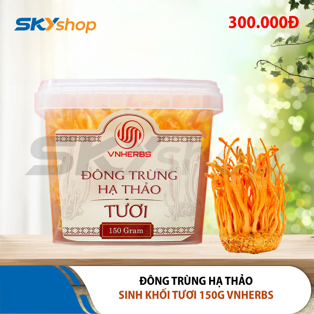 Đông Trùng Hạ Thảo sinh khối tươi 150 gram VNHERBS