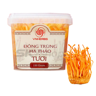 Đông Trùng Hạ Thảo sinh khối tươi 150 gram VNHERBS
